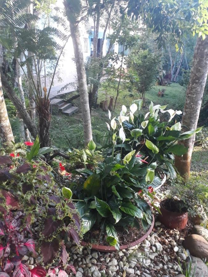 Villa Chacara Da Promessa De Deus Icatuacu Exterior foto